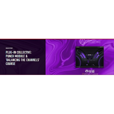 Focusrite�Ñ�����-���MPUNCH moduleģ�K�������܉����̳�